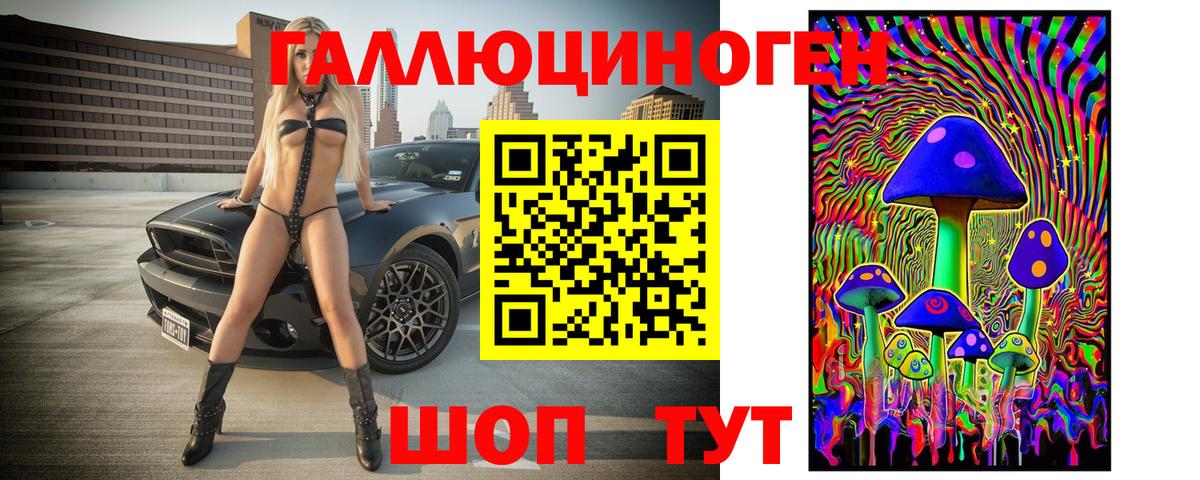 закладка  Вход с VPN  Энгельс  Псилоцибиновые грибы Psilocybe 
